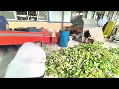 Fresh branch cutting and crushing machine