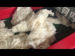 800F model 6mm screen hole, cotton cutting machine, cutting machine crusher